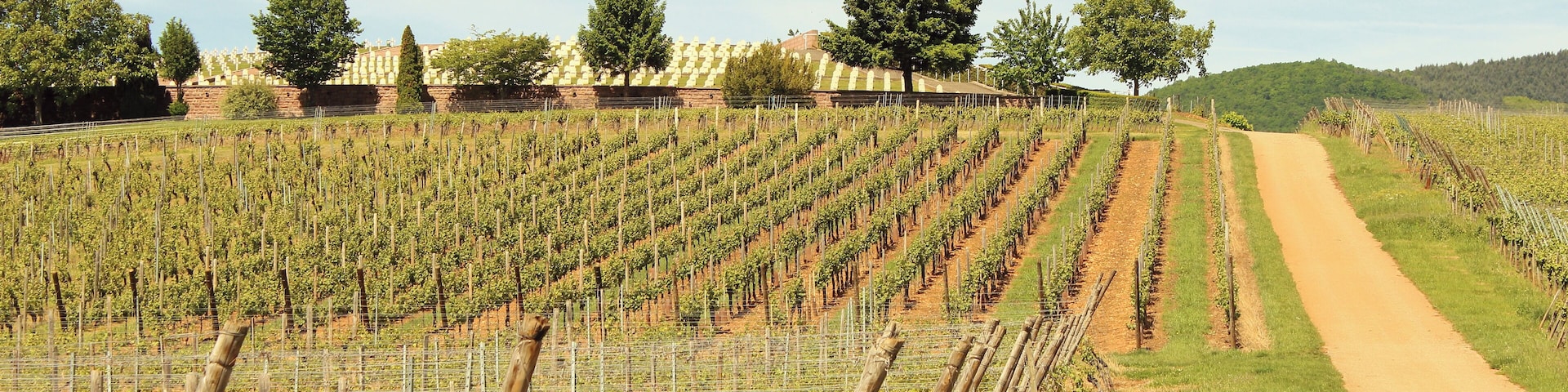 2017-05-21-11-39-27_Les Forts Trotters_au Sentier des Grands Crus