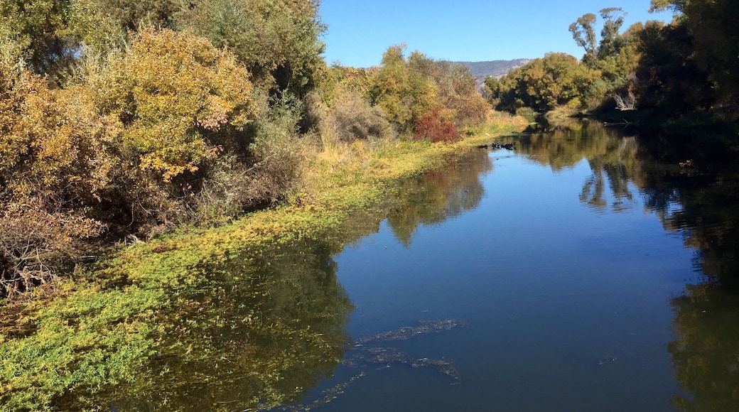Day trip to Clear Lake, Ca. This tributary runs off into the lake. Wonderful spot to watch birds. #ClearLake #StateParks #Waterways #BirdWatching #Nature #Roadtrip #California