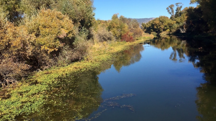 Day trip to Clear Lake, Ca. This tributary runs off into the lake. Wonderful spot to watch birds. #ClearLake #StateParks #Waterways #BirdWatching #Nature #Roadtrip #California