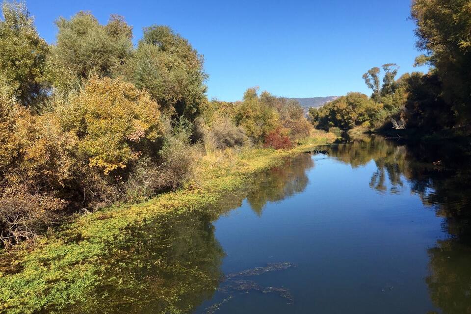 A calm river with dense foliage and trees reflecting in the water.