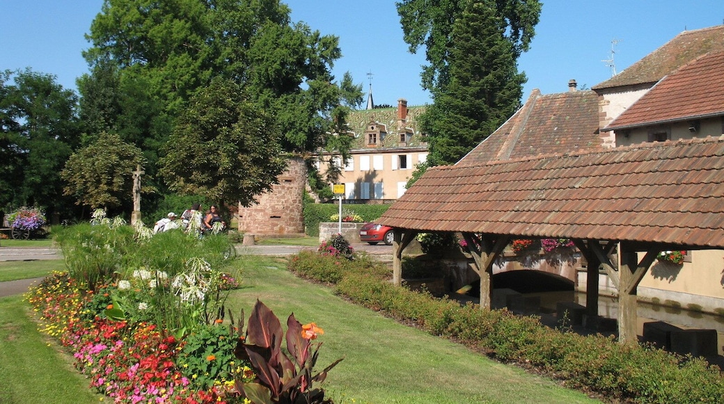 Dachstein (looking NE)