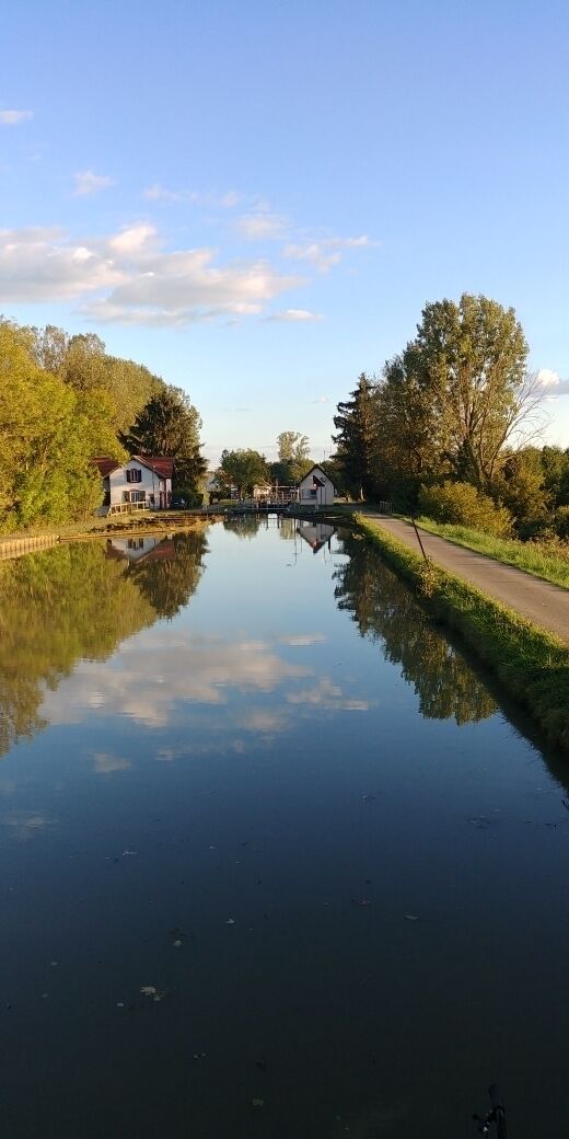 Waiting to the green light