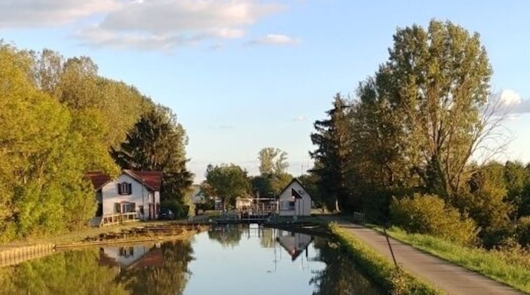 Waiting to the green light