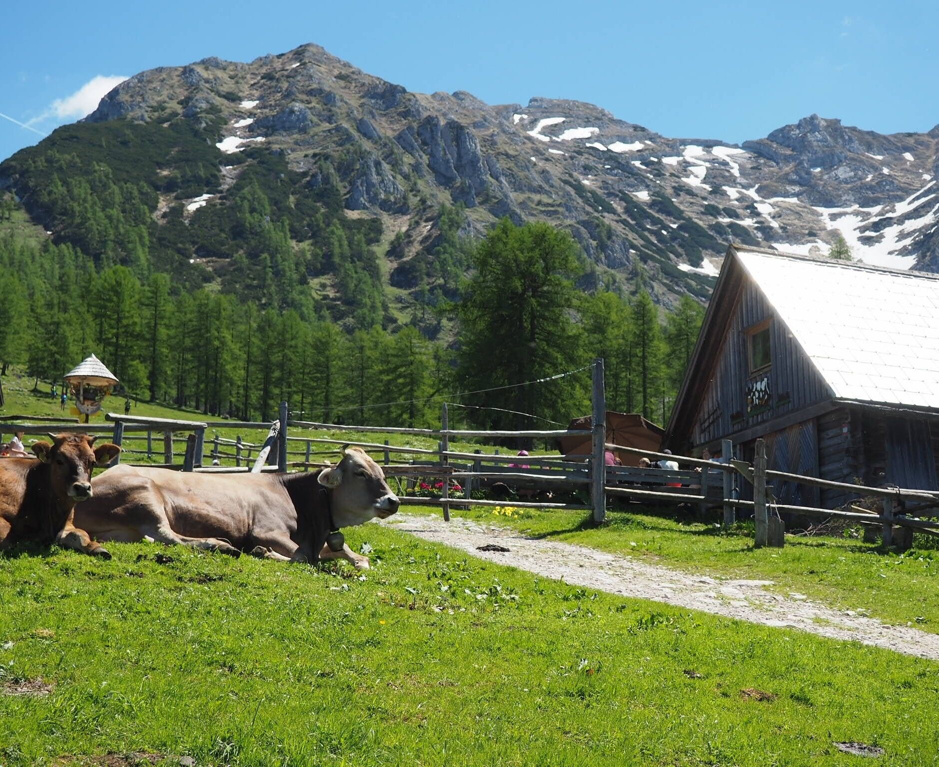Austrian Stereotypes: mountains, huts and cows.

Reality: mountains, huts and cows.