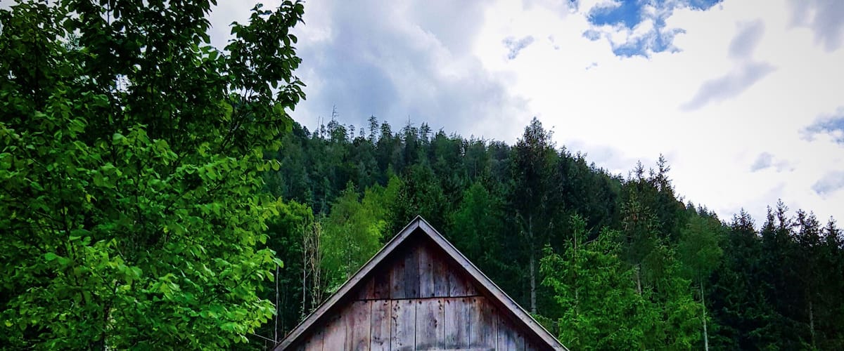 A dilapidated wooden barn surrounded by lush greenery and a forested hill.
