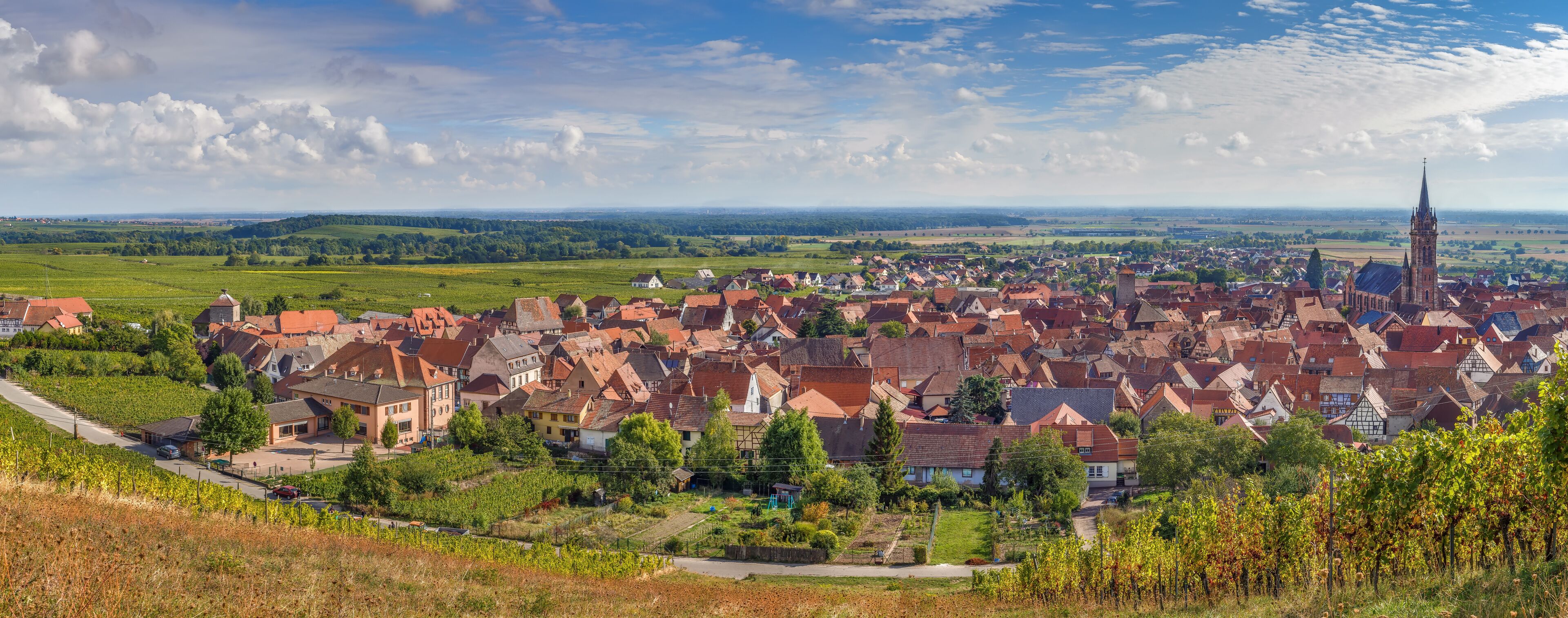 A town with red-roofed houses, a prominent church tower, and vineyards.