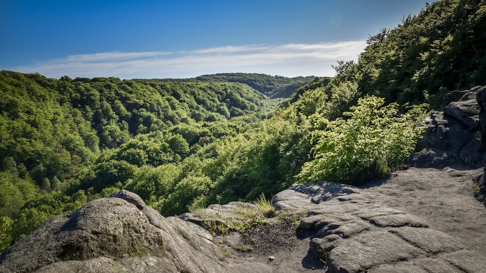 Great view over the green and lush forest valley of Soderasens National Park from cliff Sweden