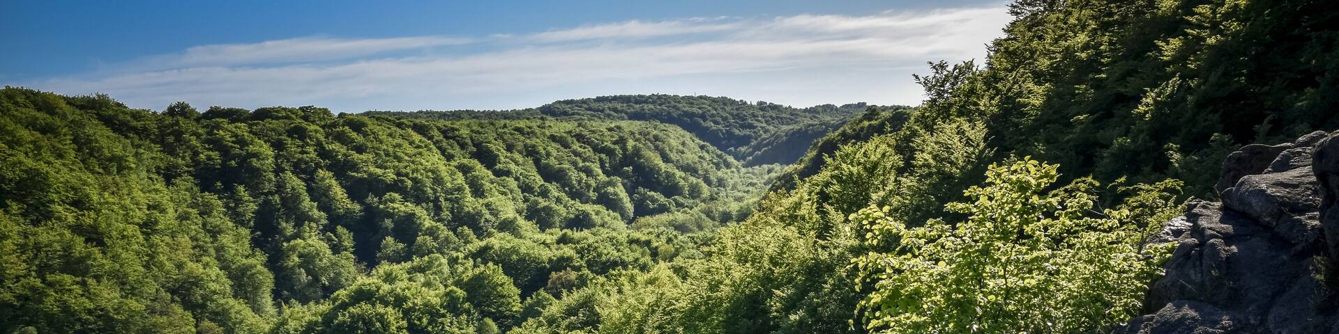 Great view over the green and lush forest valley of Soderasens National Park from cliff Sweden