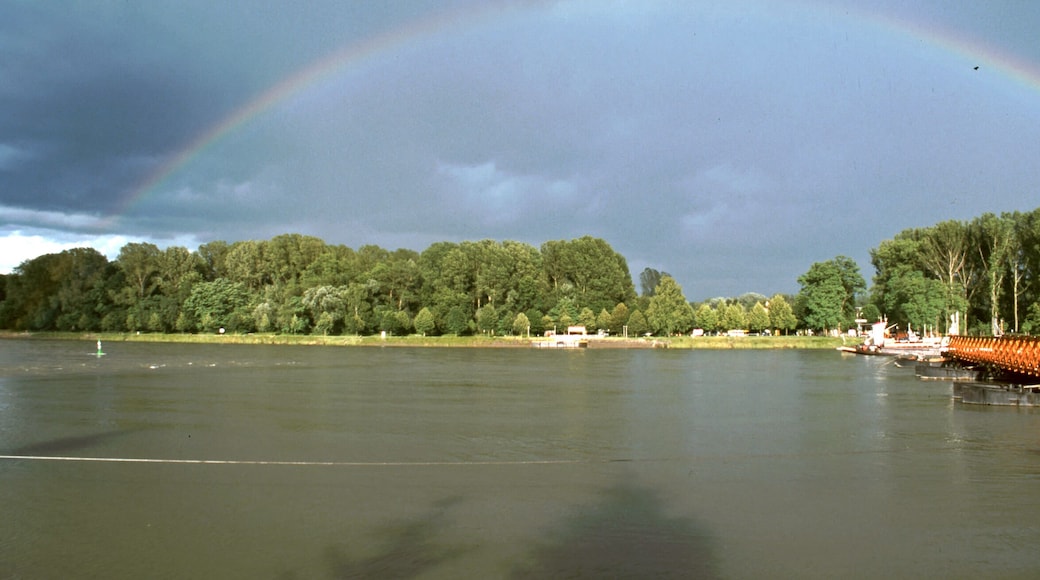 Rheinfähre Plittersdorf