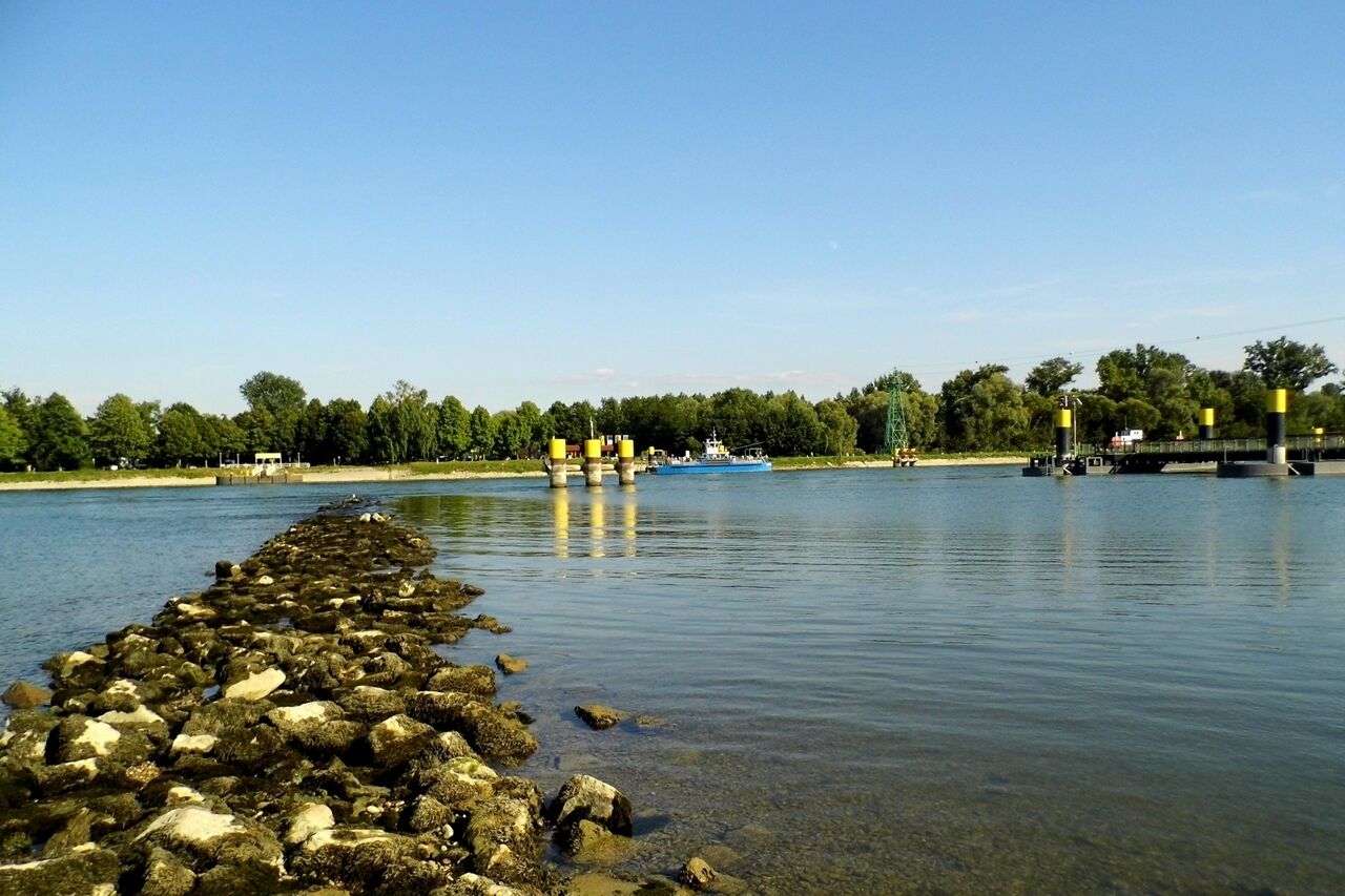 Blick über den Rhein