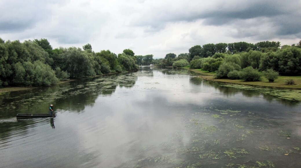 Réserve Naturelle du Delta de la Sauer, Alsace, France