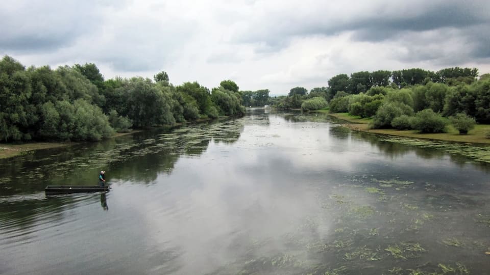 A river with dense trees on both sides, a person standing on a dock, and a cloudy sky.