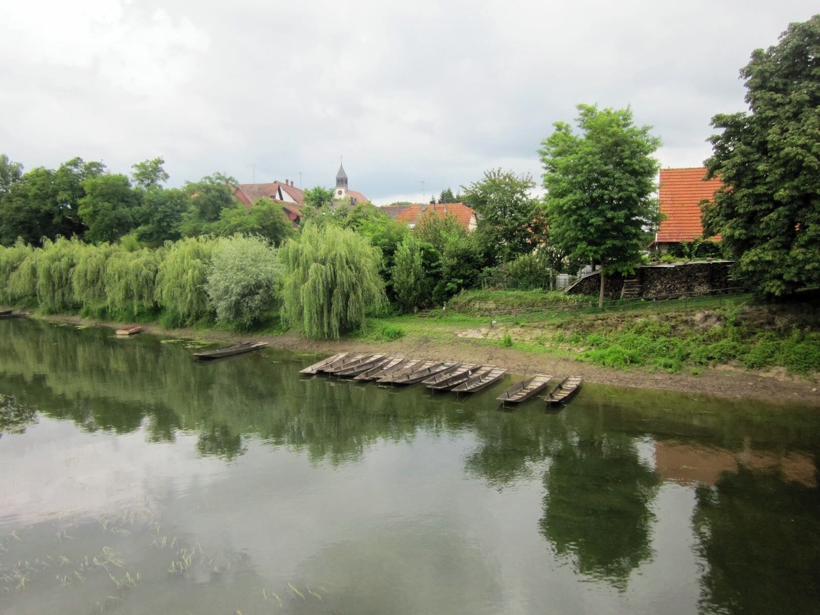 Réserve Naturelle du Delta de la Sauer, Alsace, France