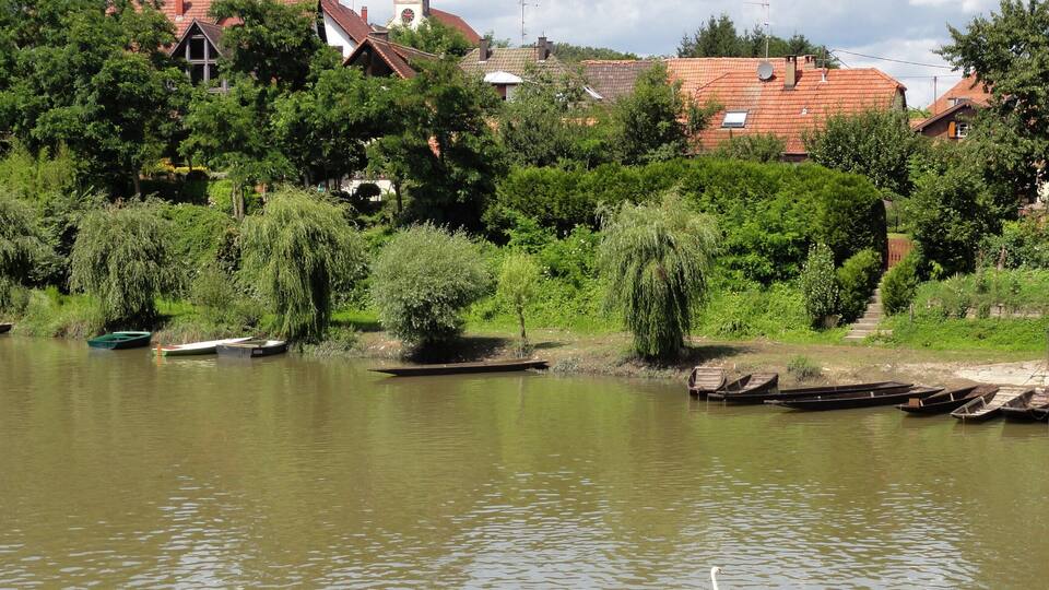 A calm river with a swan, boats, and a church in the background.