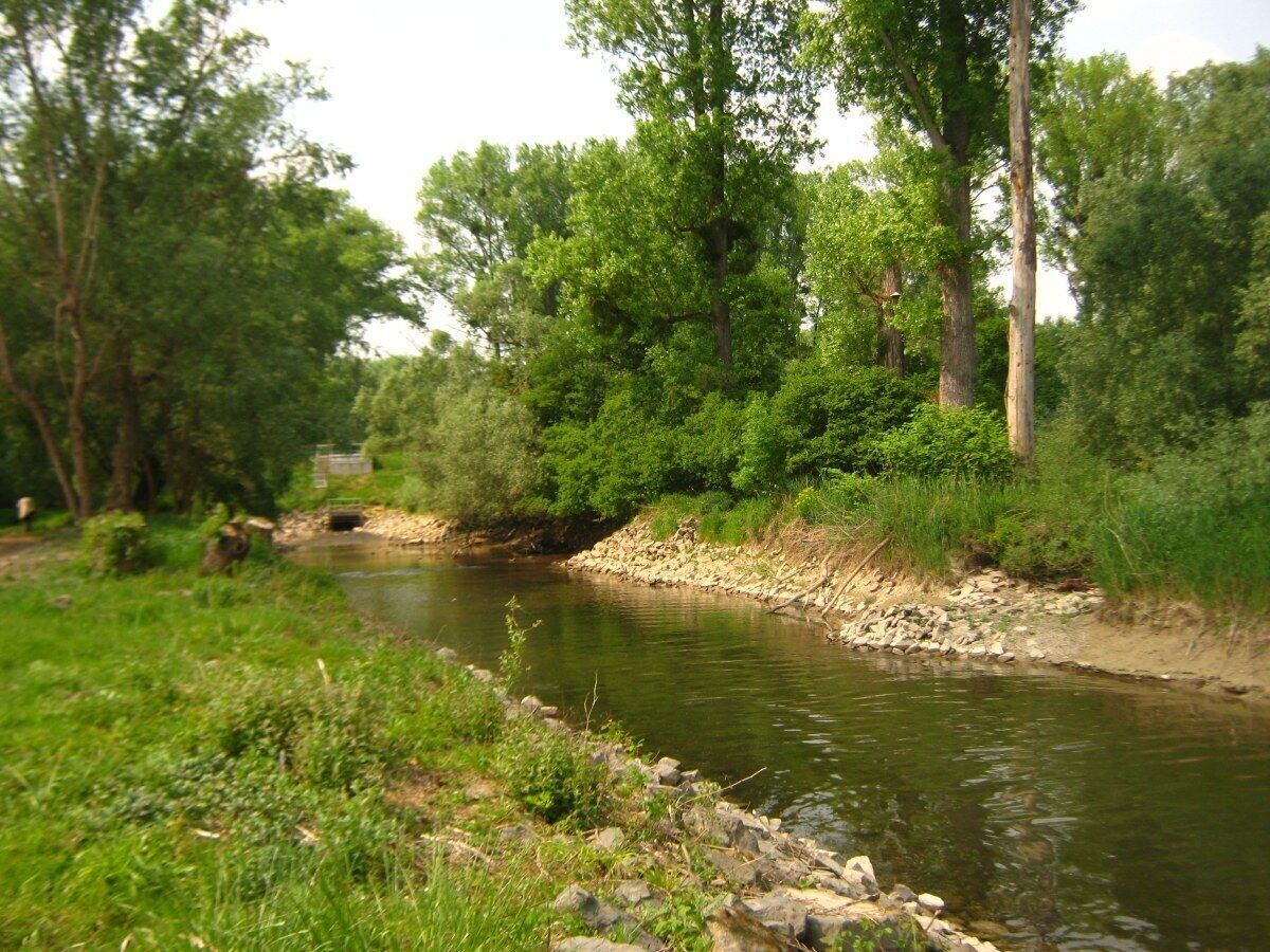 2011-05-01-150322_48,967477; 8,231451.JPG