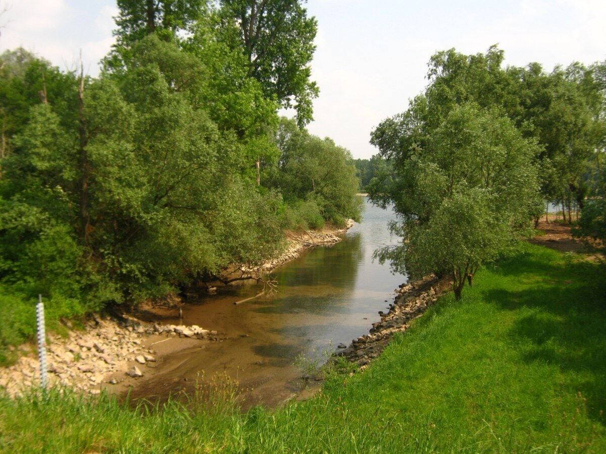 2011-05-01-150721_48,968117; 8,230075.JPG