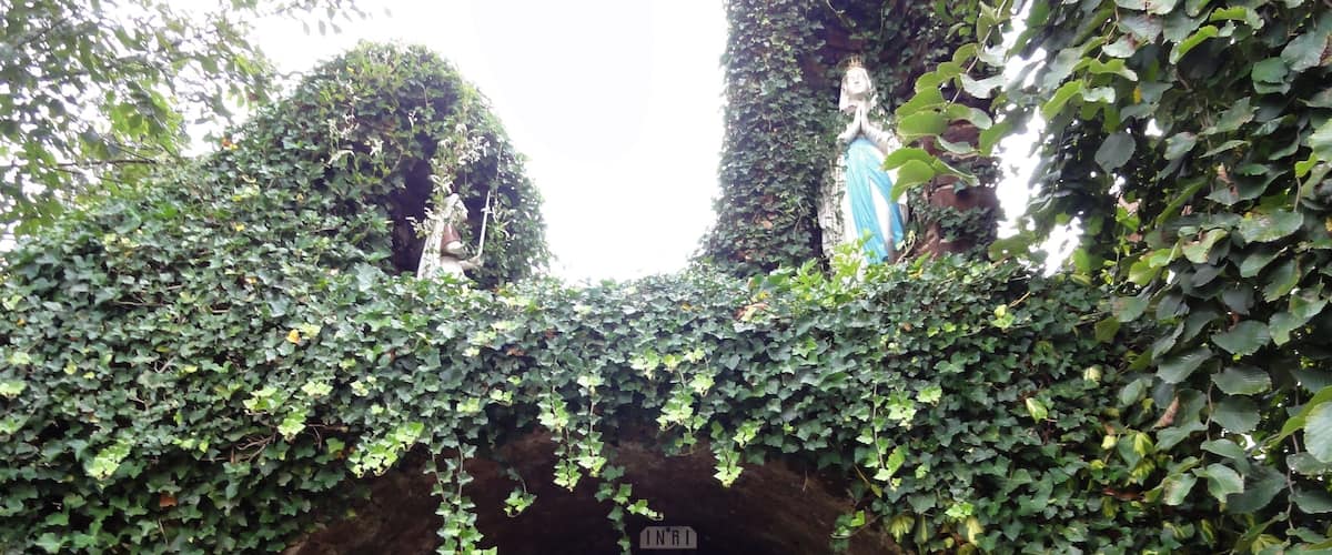 A statue of a man in a cloak standing in a tunnel covered with ivy.