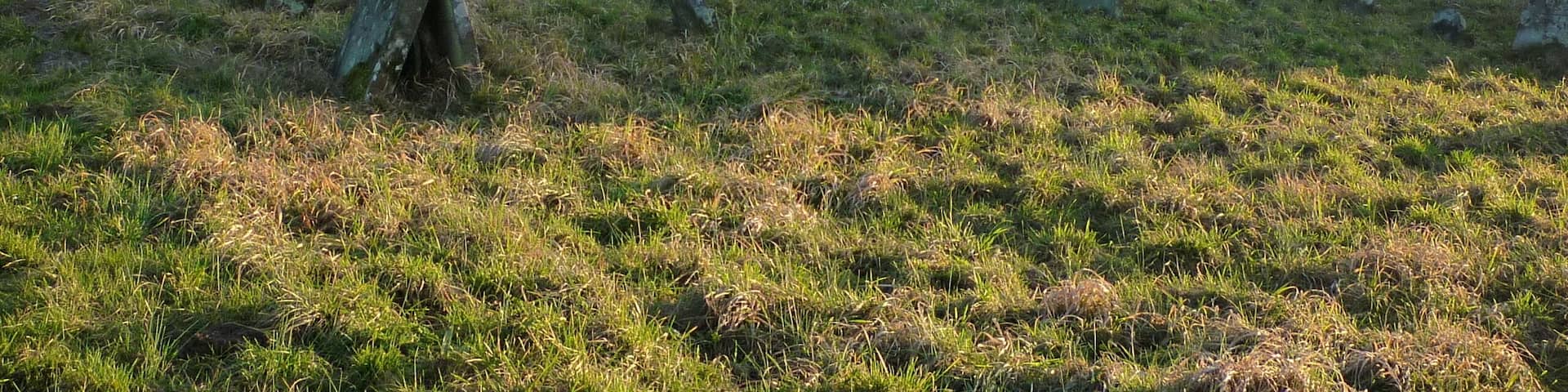 Cimetière juif d'Ettendorf