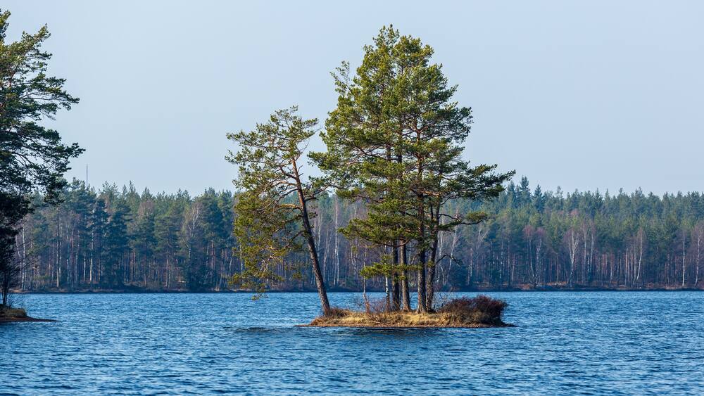 Small island with trees in a lake