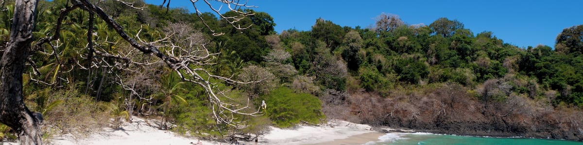 Parque Nacional Marino Golfo de Chiriqu, Panama