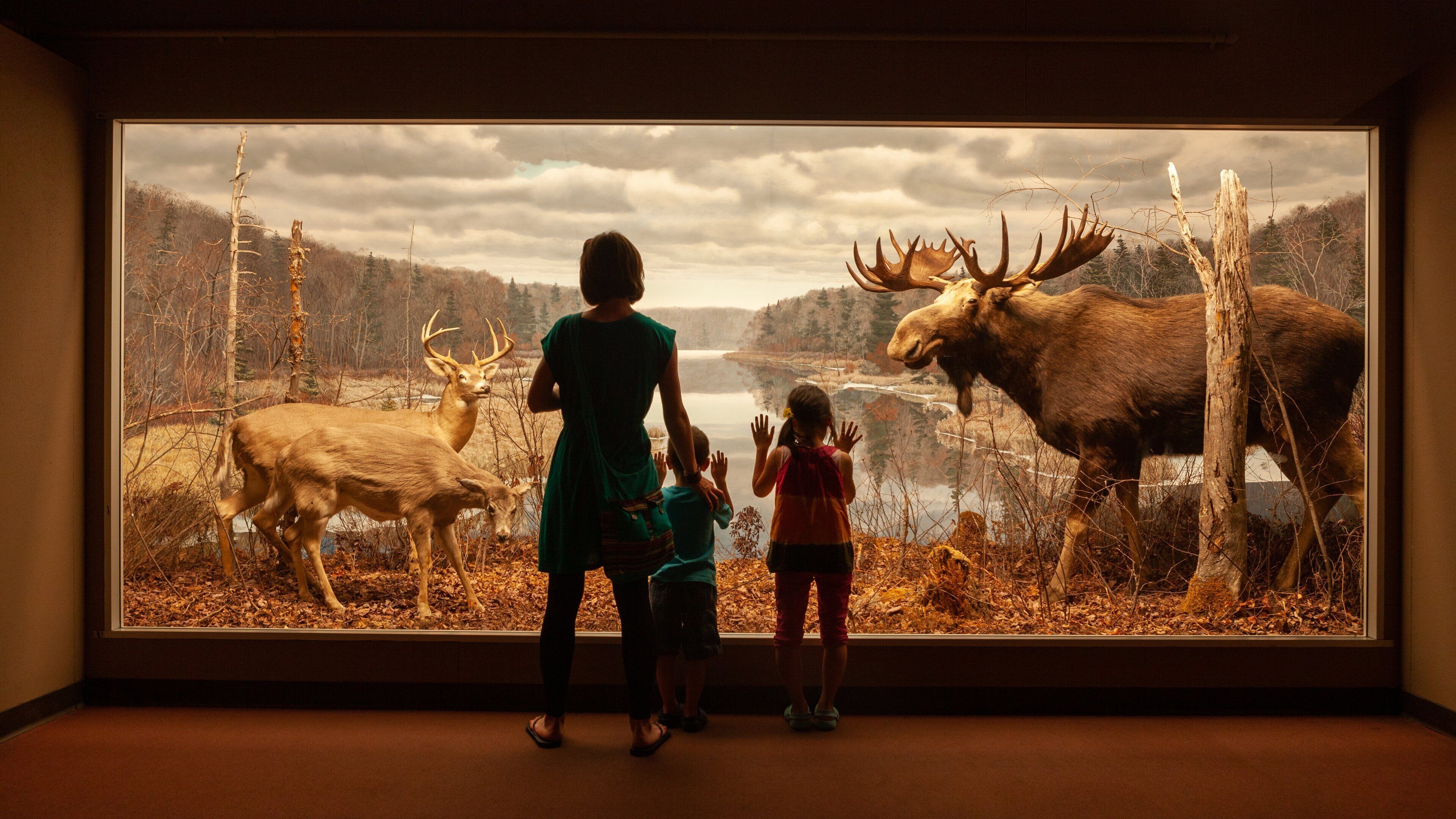 Museum of Natural History featuring interior views as well as a family