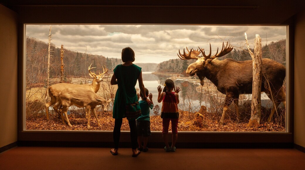 Museum of Natural History featuring interior views as well as a family