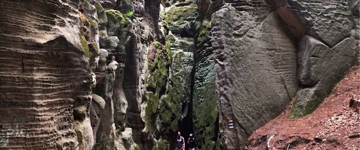 A narrow canyon with rocky walls and a dirt path.