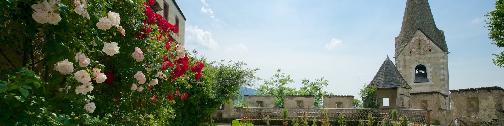 Sankt Georgen am Langsee which includes a garden, a church or cathedral and flowers