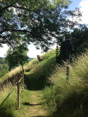 Beautiful hike up to the castle ruins!
