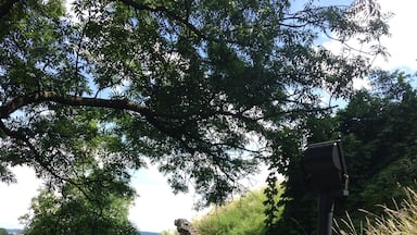 Beautiful hike up to the castle ruins!