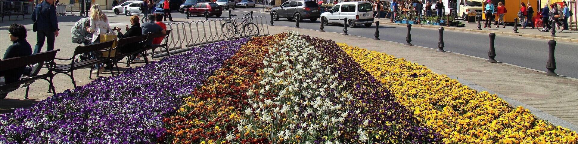 The spa town of PodÄbrady is a picturesque place to live, but just as pleasant for outings, recreation and last but not least spa therapies and wellness relaxation activities. The town lies in the central Polabi region just under 50 km from Prague.
http://www.czechtourism.com/t/podebrady/