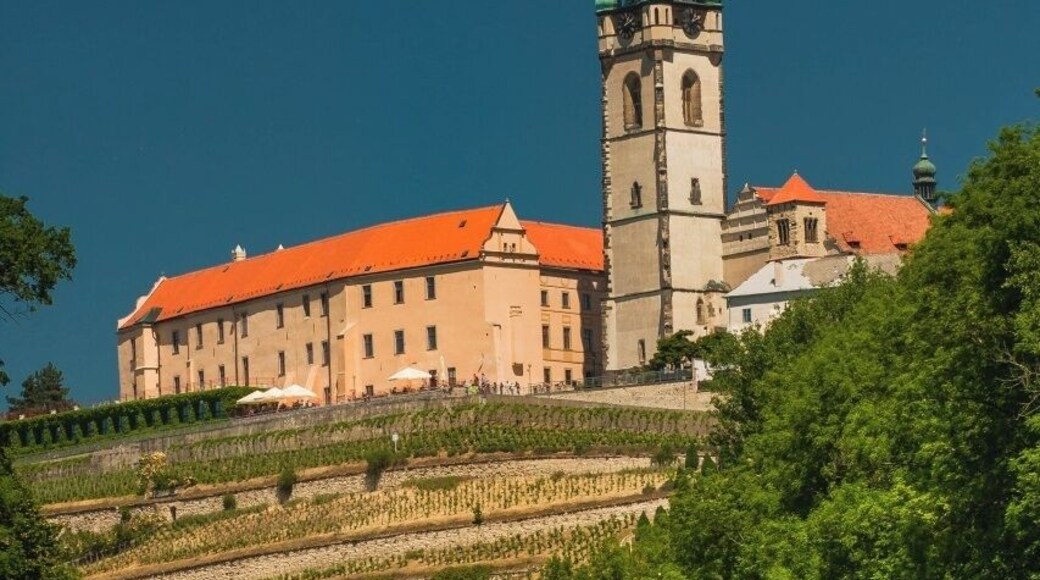 May 2017
MÄlnĂk Castle, Czech republic
MÄlnĂk a smaller town in the Central Bohemian Region of the Czech Republic. It lies at the confluence of the Labe and Vltava rivers, to biggest Czech rivers, approximately 35Â km north of Prague.
In the 5th and 6th century many Slavonic tribes lived here, and the tribe of PĆĄovans created its main settlement in MÄlnĂk. Saint Ludmila (the grandmother of the legendary Czech king Saint Wenceslaws), who married the Bohemian prince BoĆivoj belonged to this tribe. In November 1274 MÄlnĂk gained the statute of town from king PĆemysl Otakar II. and later became a dowry town belonging to queens of Bohemia.
The MÄlnĂk castle standing over the rivers confluence belongs to the most important sights of this town. The castle is built in the Renaissance style. Below the castle there are large wine cellars.
The St. Peter and St. Paul's Church from the end of 15th century with its 60 meters high tower with Baroque dome gives the iconic view of the city from the rivers and surroundings.