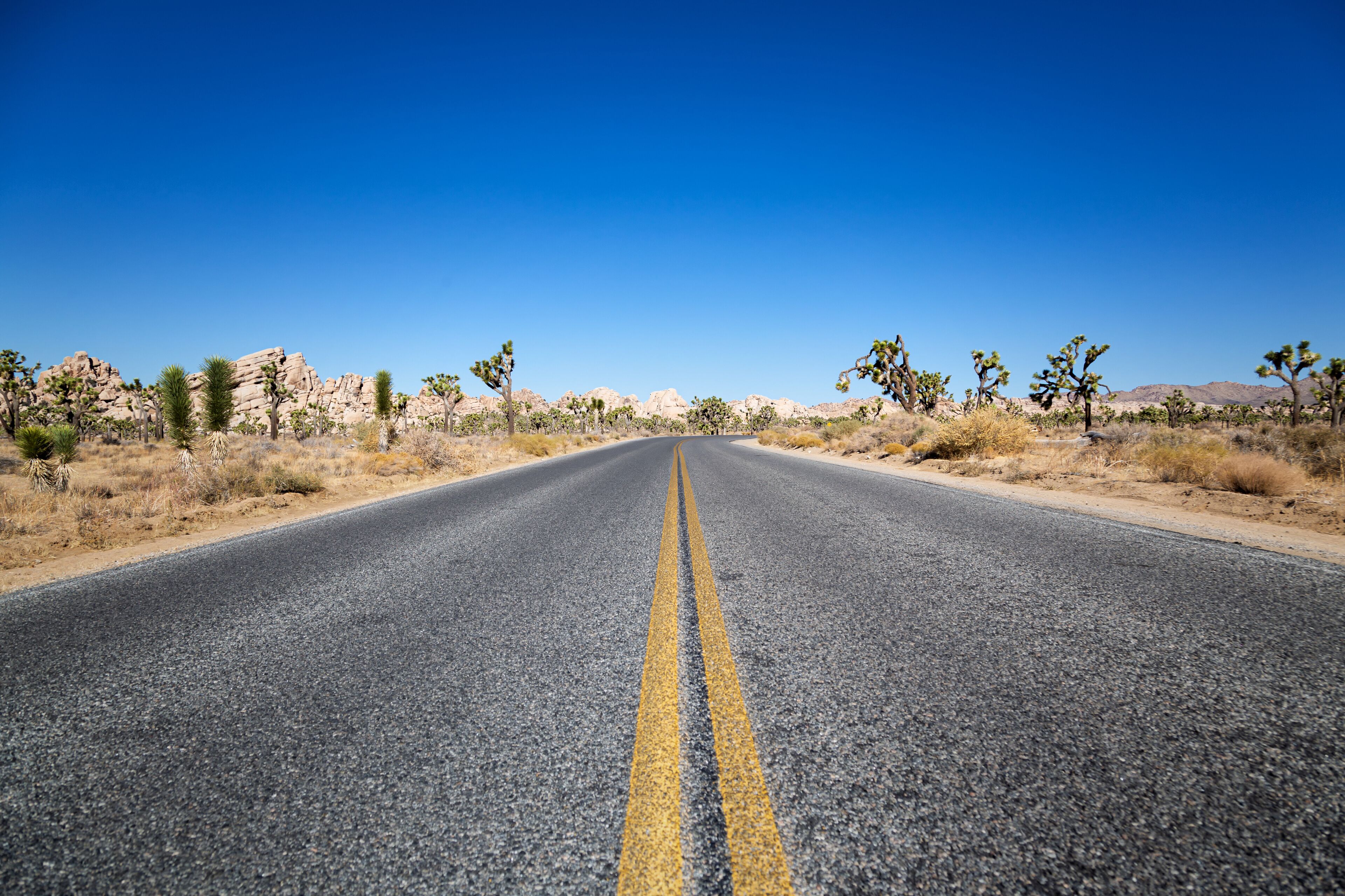 Joshua Tree National Park, California