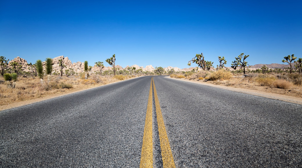 Joshua Tree National Park, California