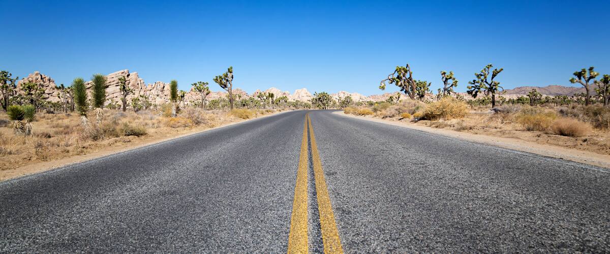 Joshua Tree National Park, California