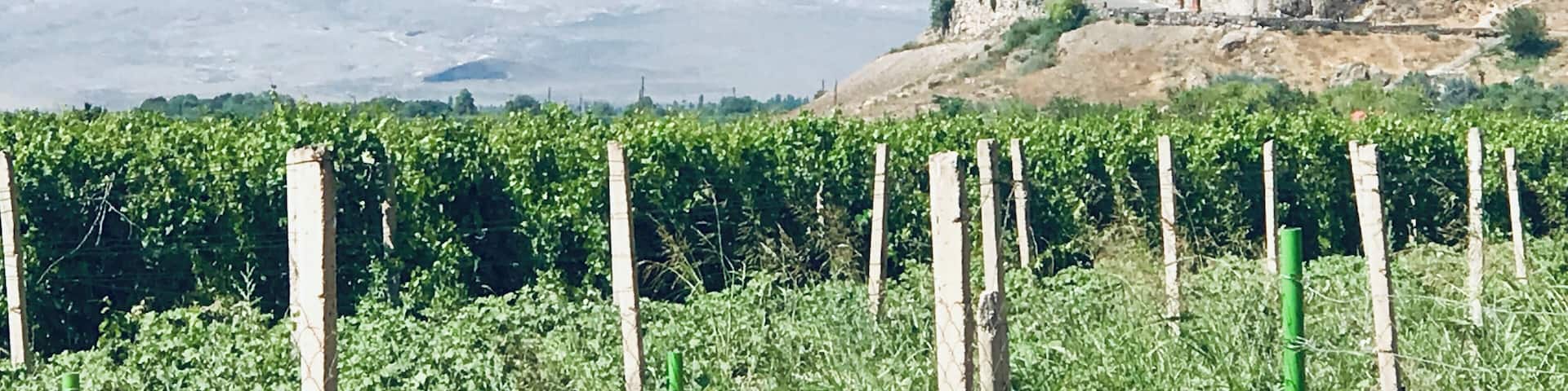 Mt. Ararat and the Khor Virap Monastery in Armenia.