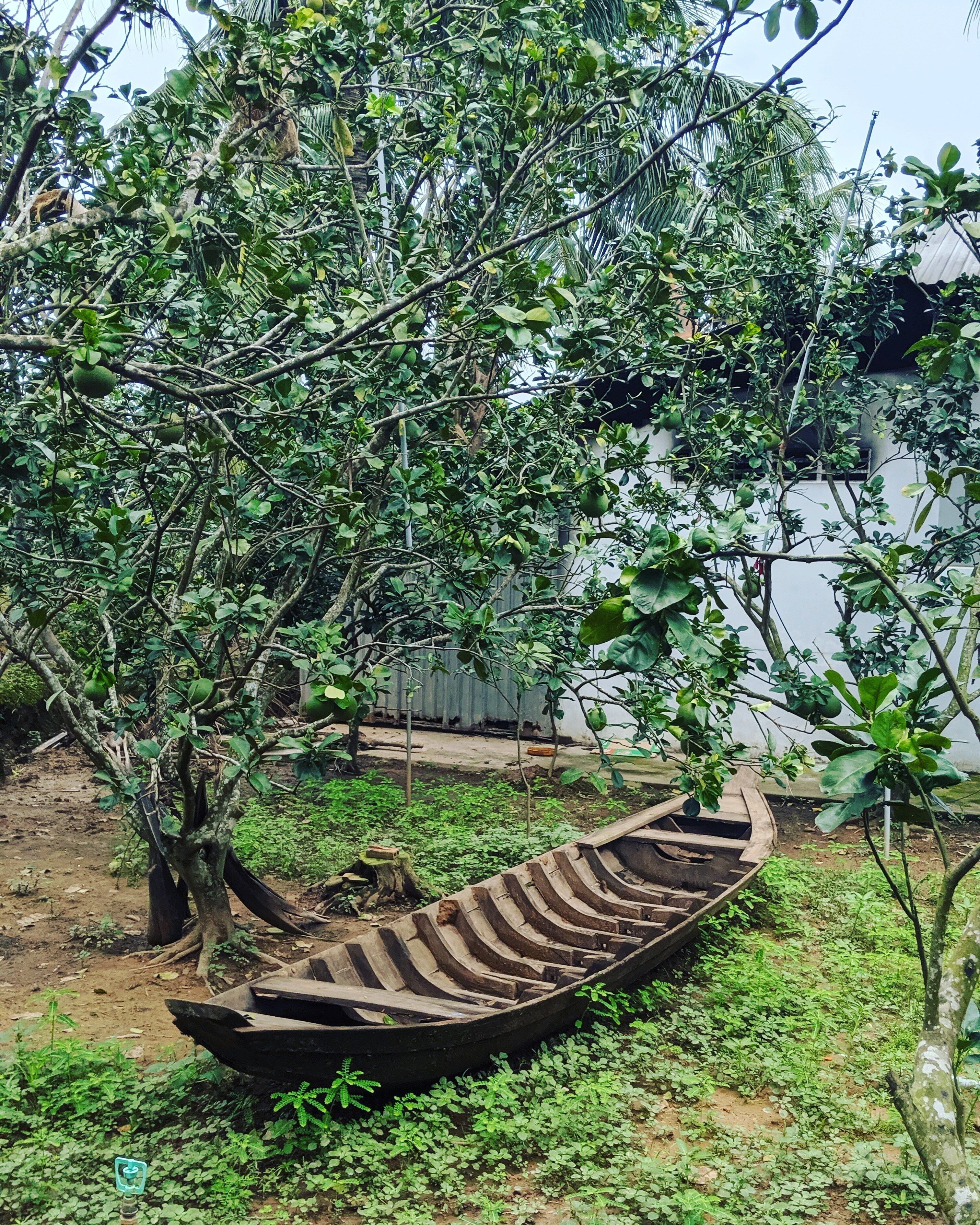 A wooden boat in a garden with lush green trees and a white wall in the background.