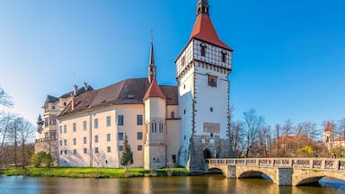 Currently, Blatna Castle belongs to the heirs of the Hildbrand clan. They invest a lot of effort and money in its restoration. Around the castle is a park with alleys, bridges, ancient oaks and pines. Reindeer walk freely in the park.