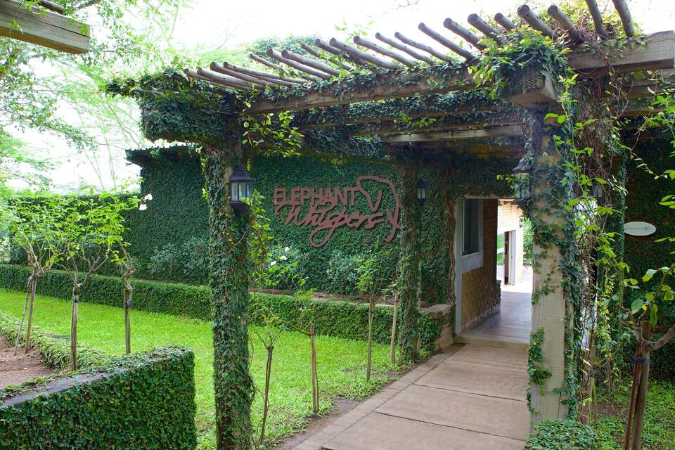 A garden pathway leading to a pergola covered in ivy, with a sign reading "Elephant Whigs."
