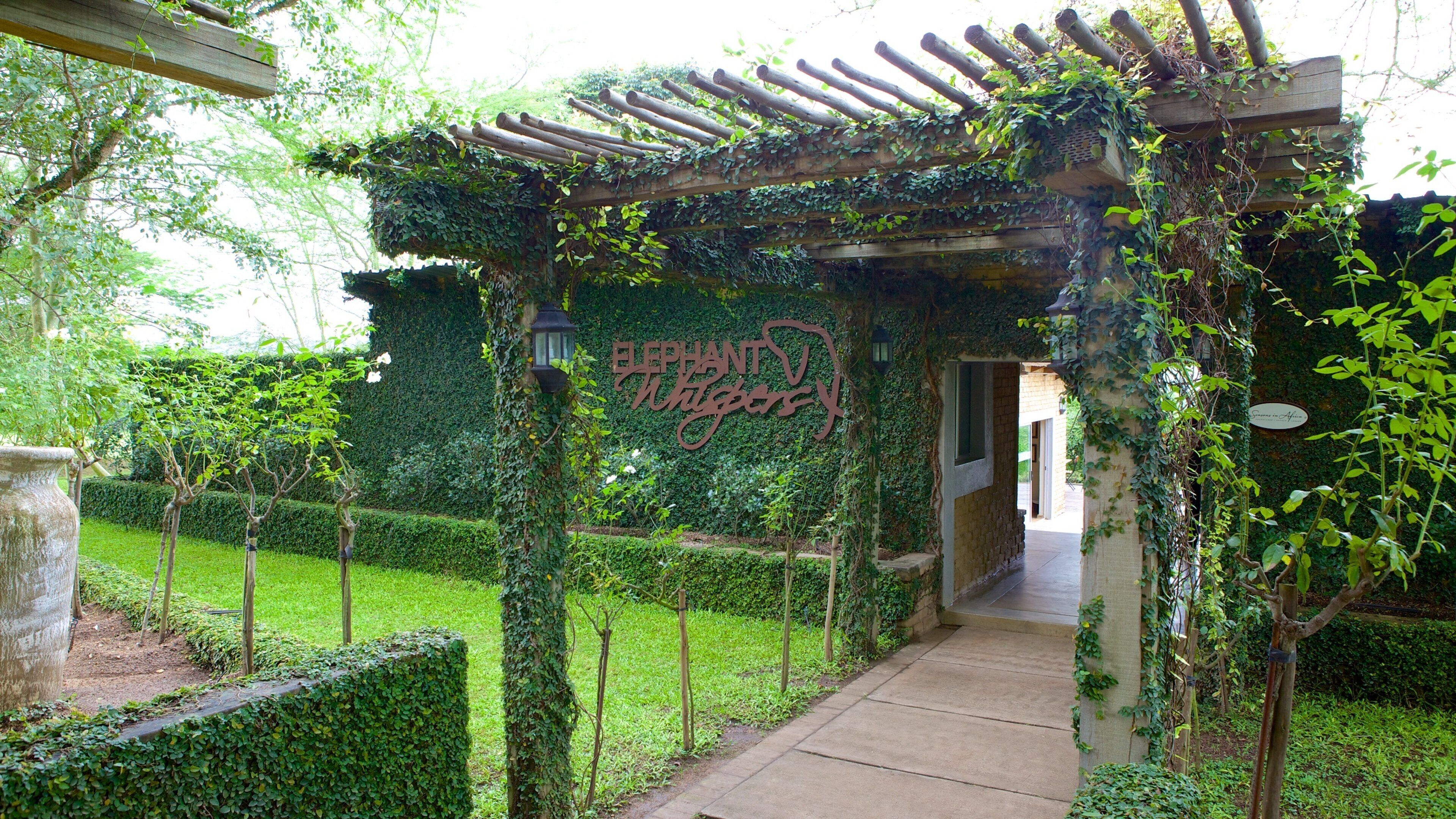 A garden pathway leading to a pergola covered in ivy, with a sign reading "Elephant Whigs."