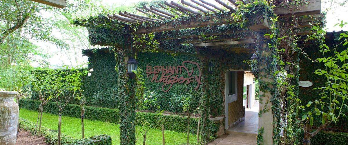 A garden pathway leading to a pergola covered in ivy, with a sign reading "Elephant Whigs."