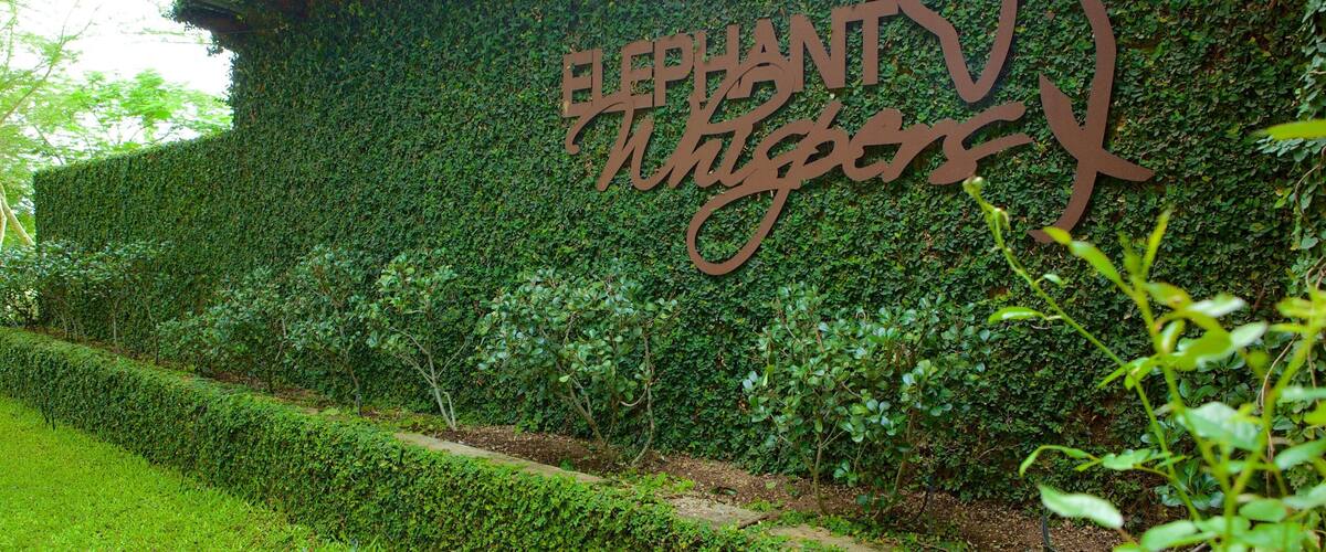 Elephant Whispers showing signage and a park