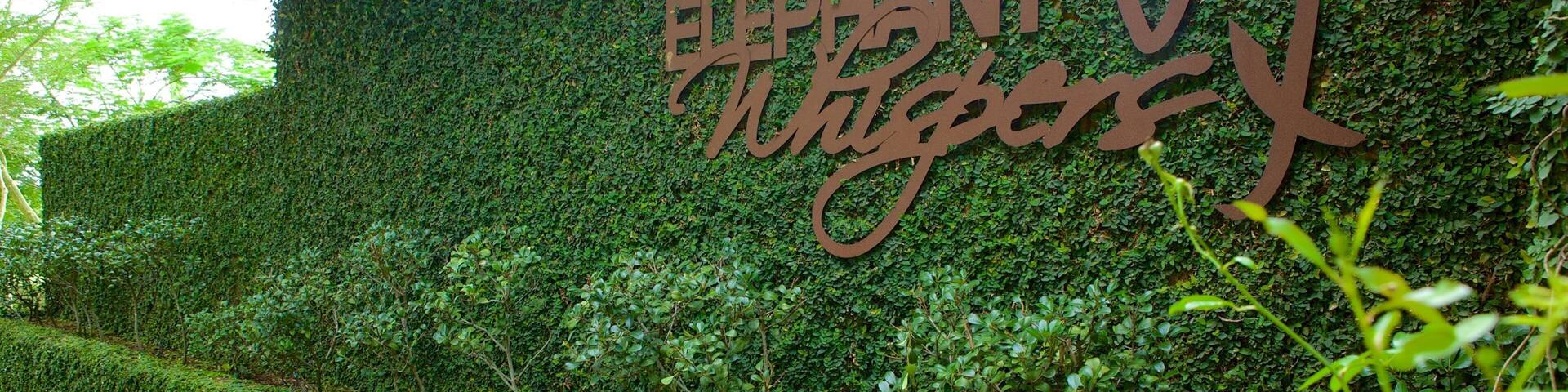 Elephant Whispers showing signage and a park