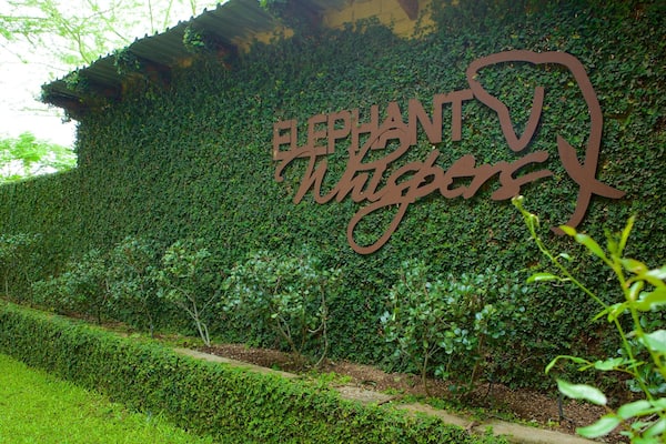 Elephant Whispers showing signage and a park