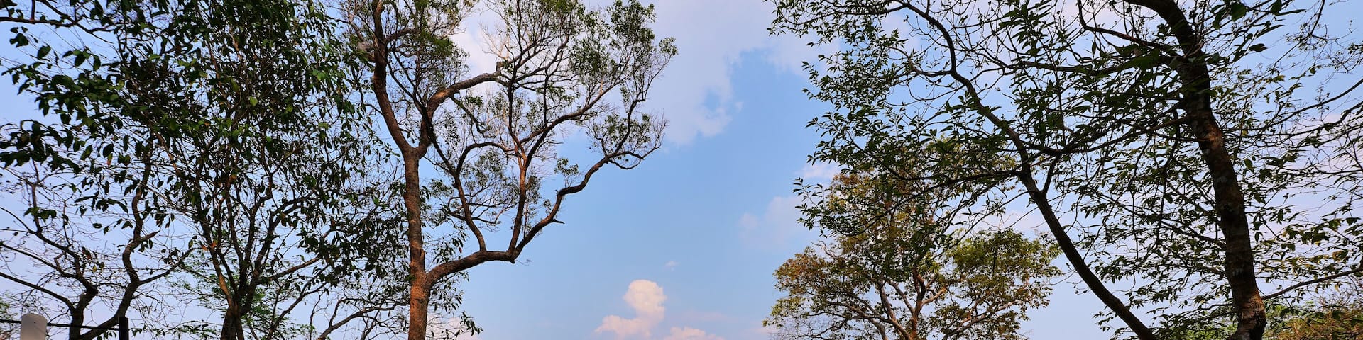 Chom Ta Wan Cliff a famous travel place in Phu Wiang National Park in Wiang Kao District, Khon Kaen, Thailand