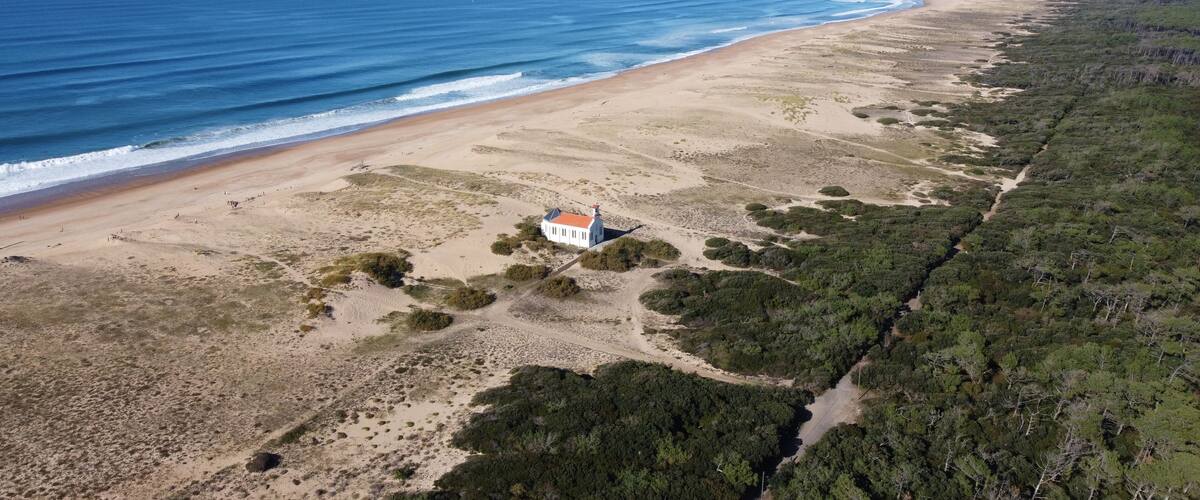 A coastal landscape with a beach, a lighthouse, and dense forest.