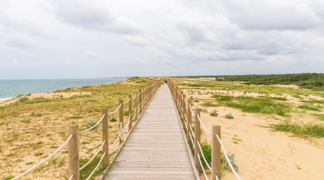 Labenne Ocean - Frankreich