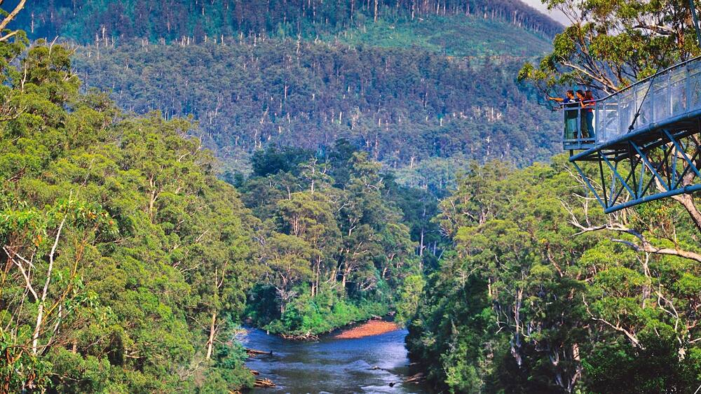 Une rivière traverse une forêt dense, et un pont est visible au premier plan.