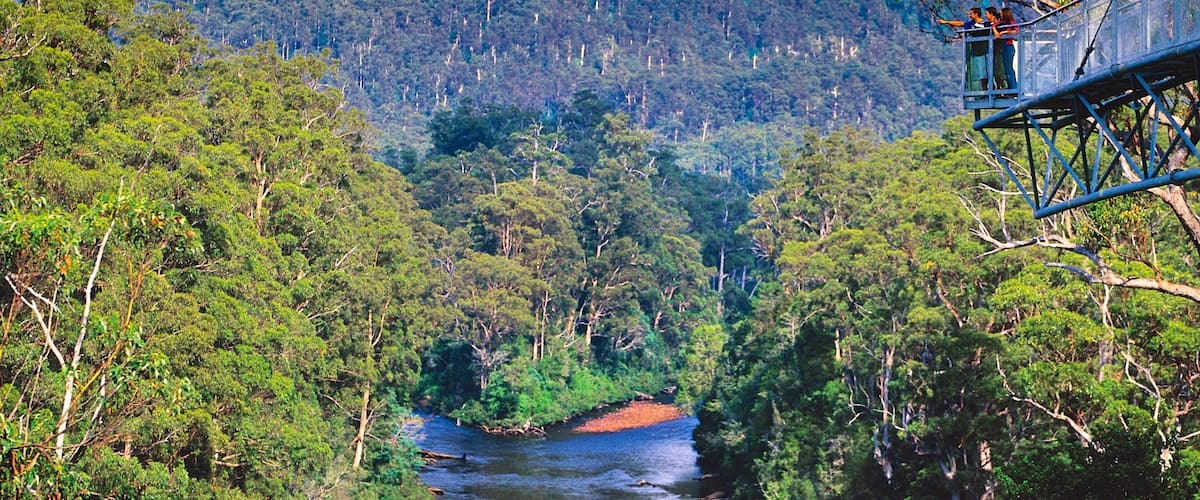 Geeveston che include paesaggio forestale e fiume o ruscello