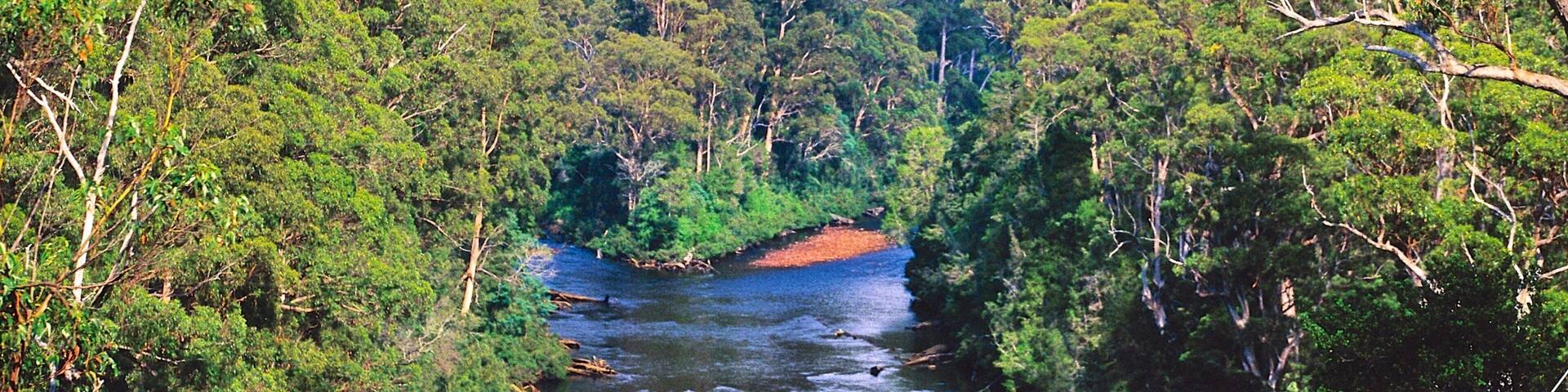 Geeveston showing forests and a river or creek